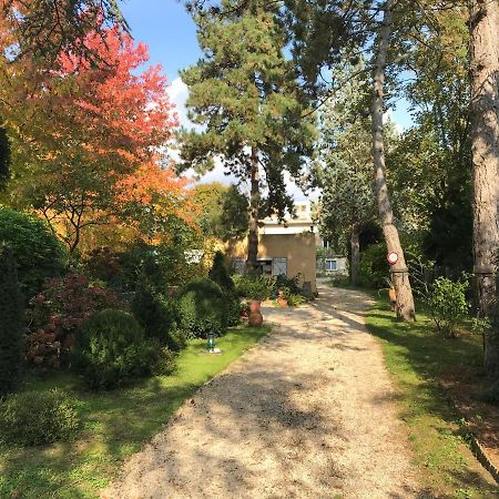 Studio Fond De Jardin 帕莱索 外观 照片